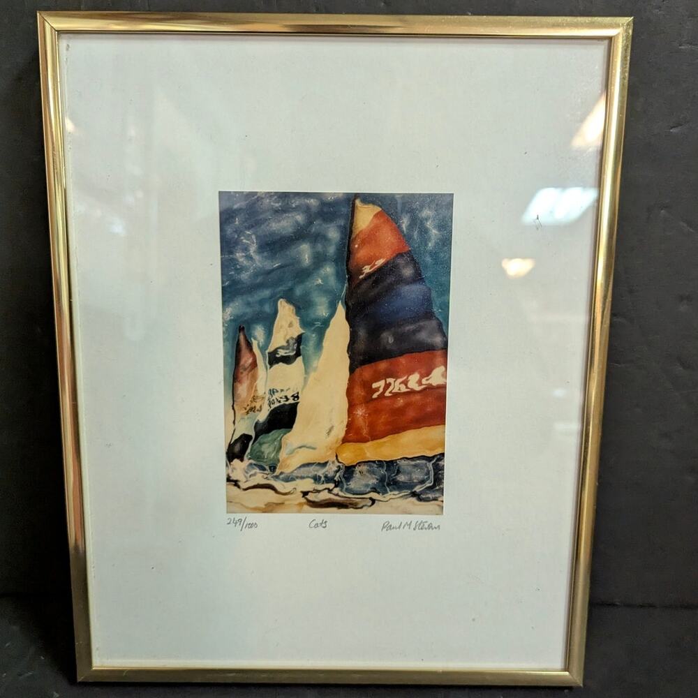 249/1000 CATS by Paul M. Stevens ? Framed Catamarans Art Print Glass Metal